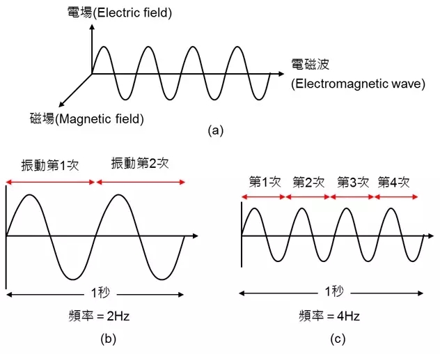 1.webp (1).jpg