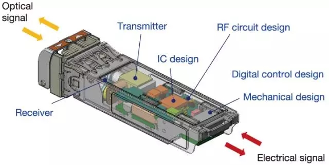 5.webp (1).jpg