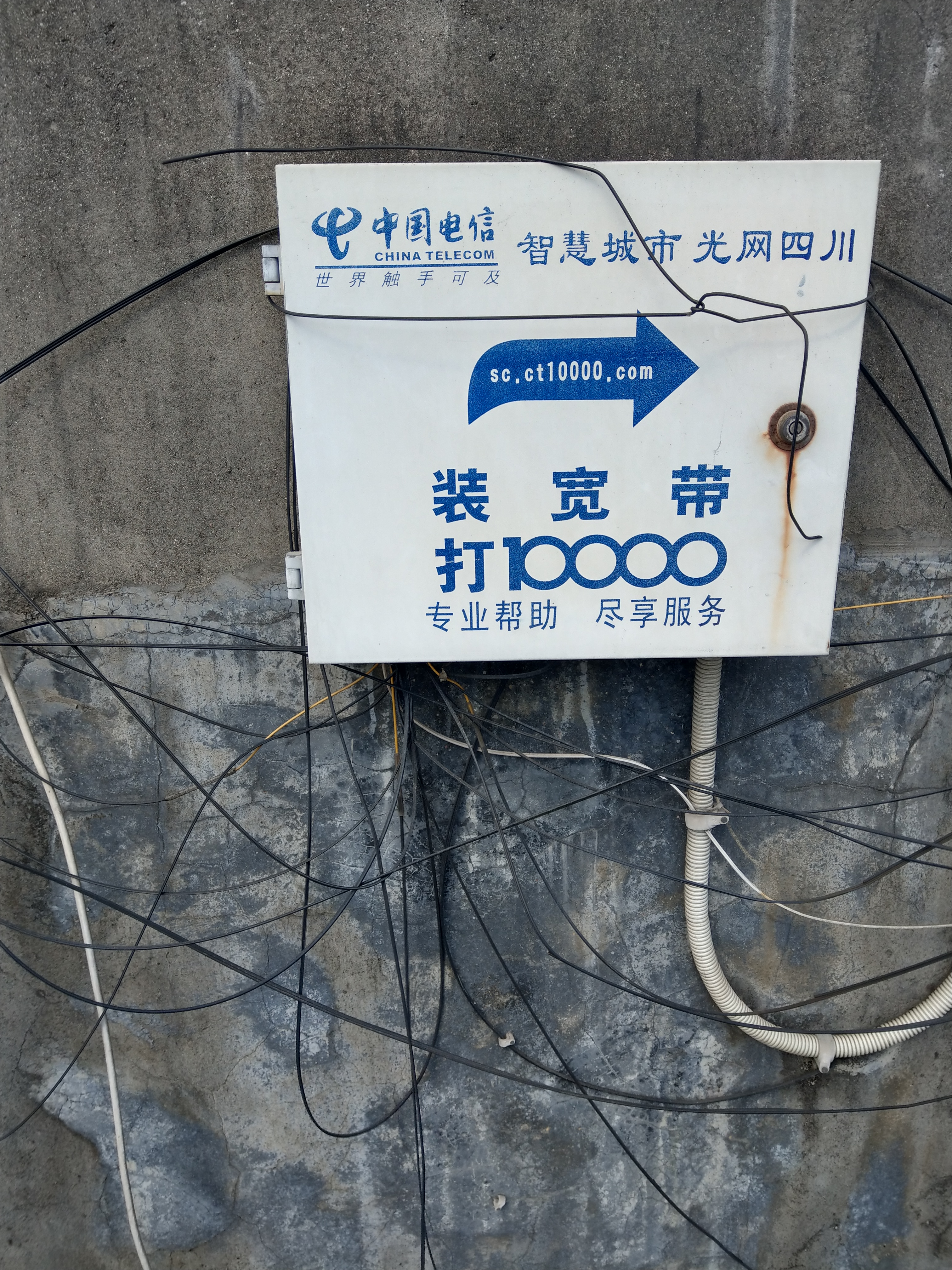 闲来无事我也发下三大的箱子照片