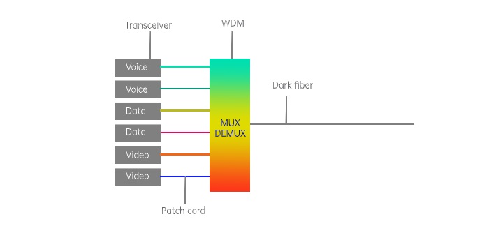 WDM5.jpg