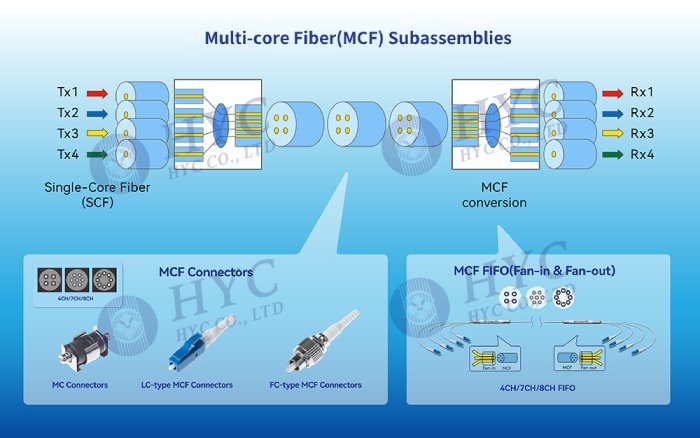 MCF--RGB-35.jpg