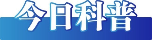 202504308779955cfb2f4cd9b77219f3085acb63_202504309fa34695351d4e5ca0bfcbe6ea018baf.jpeg
