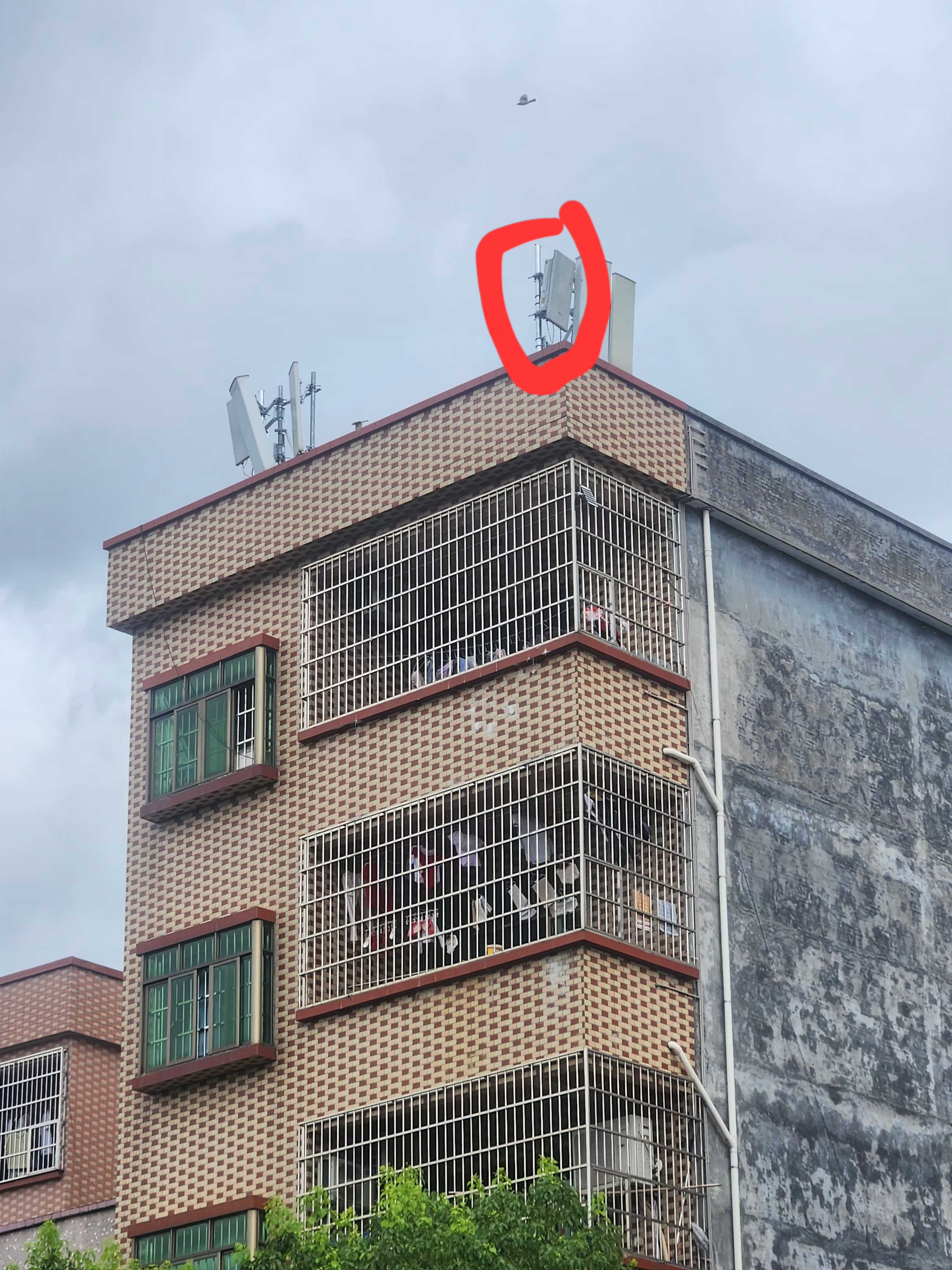 l1.jpg