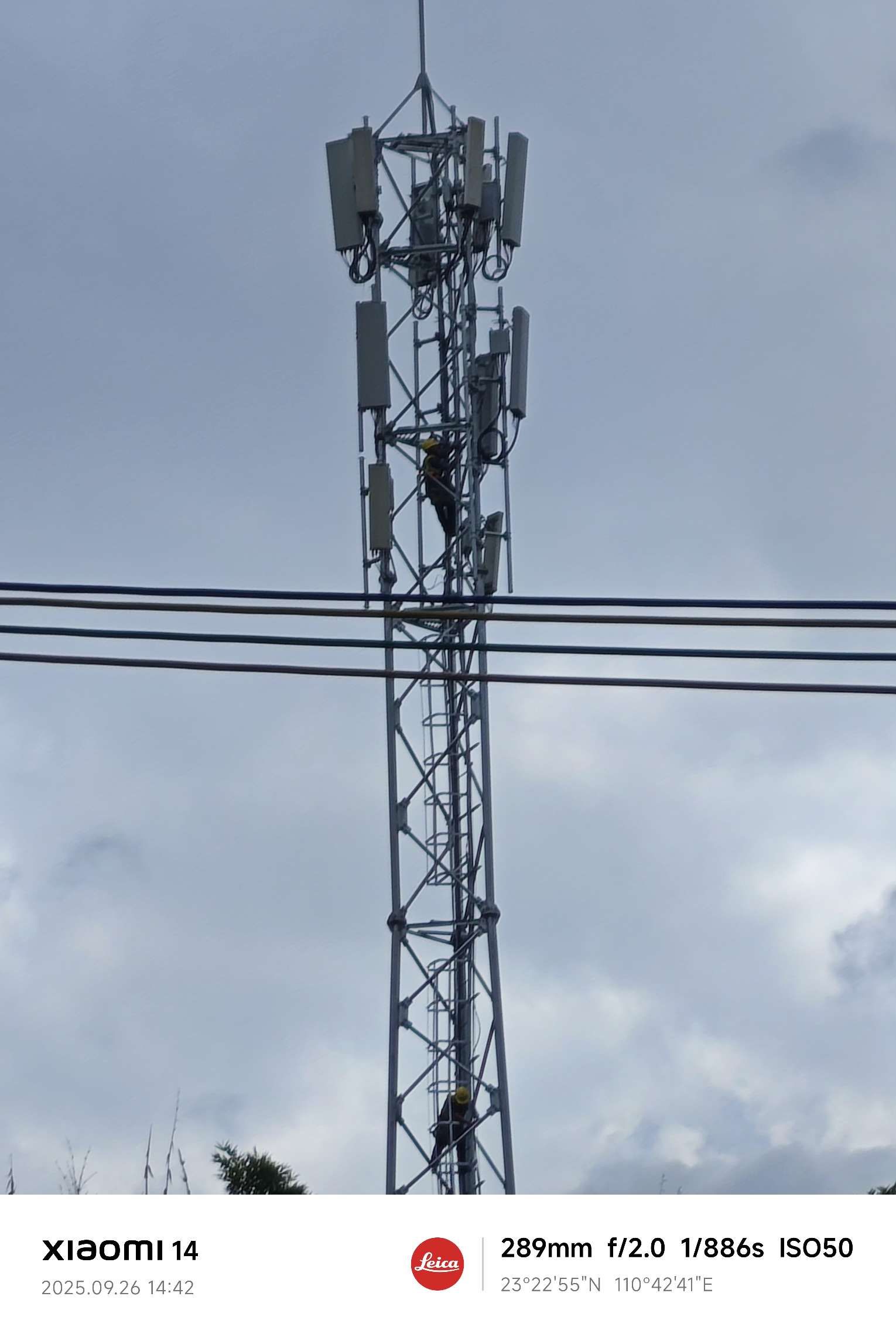 1759415653966730.heif