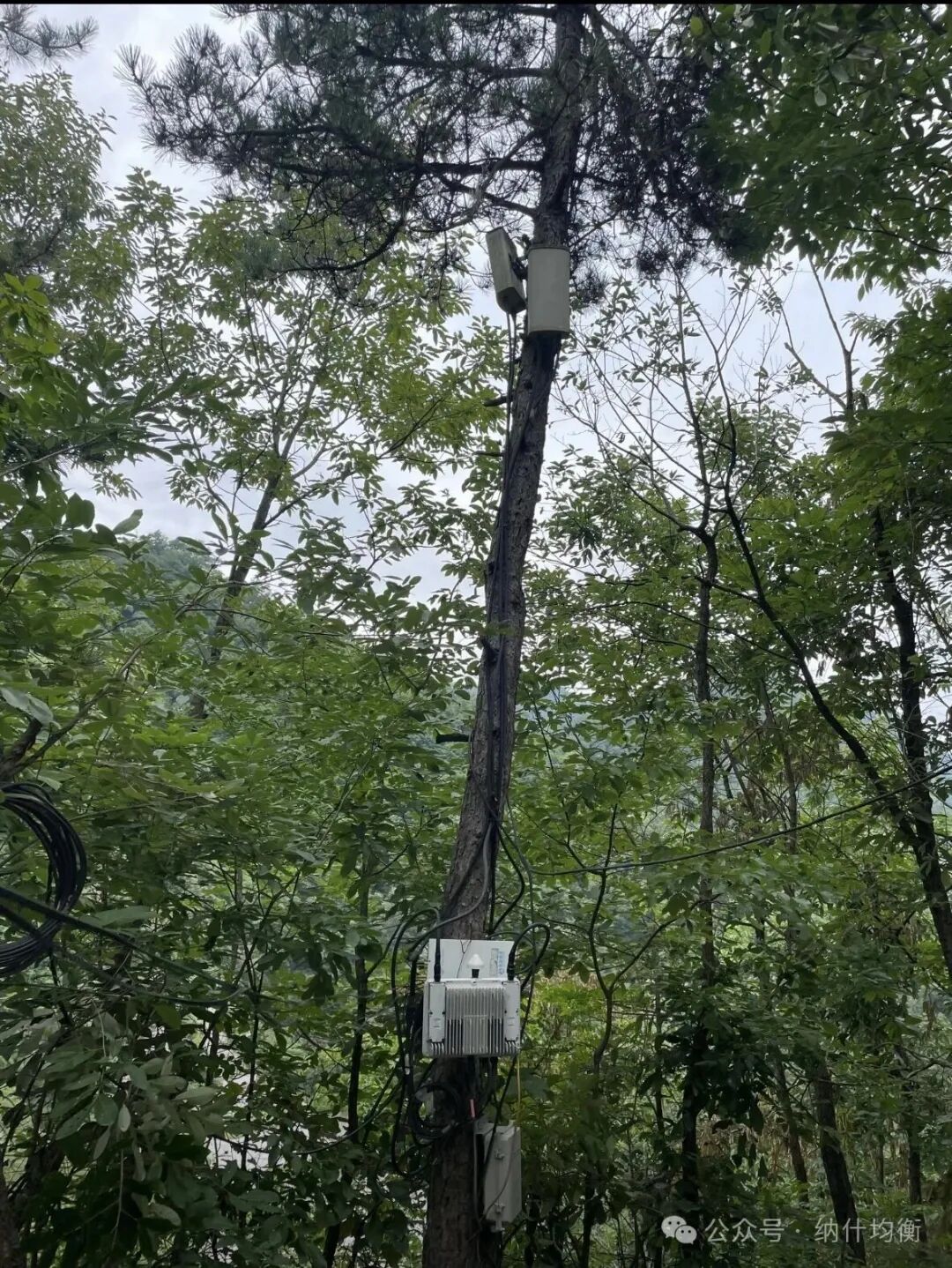 640?wx_fmt=jpeg&from=appmsg&watermark=1#imgIndex=7