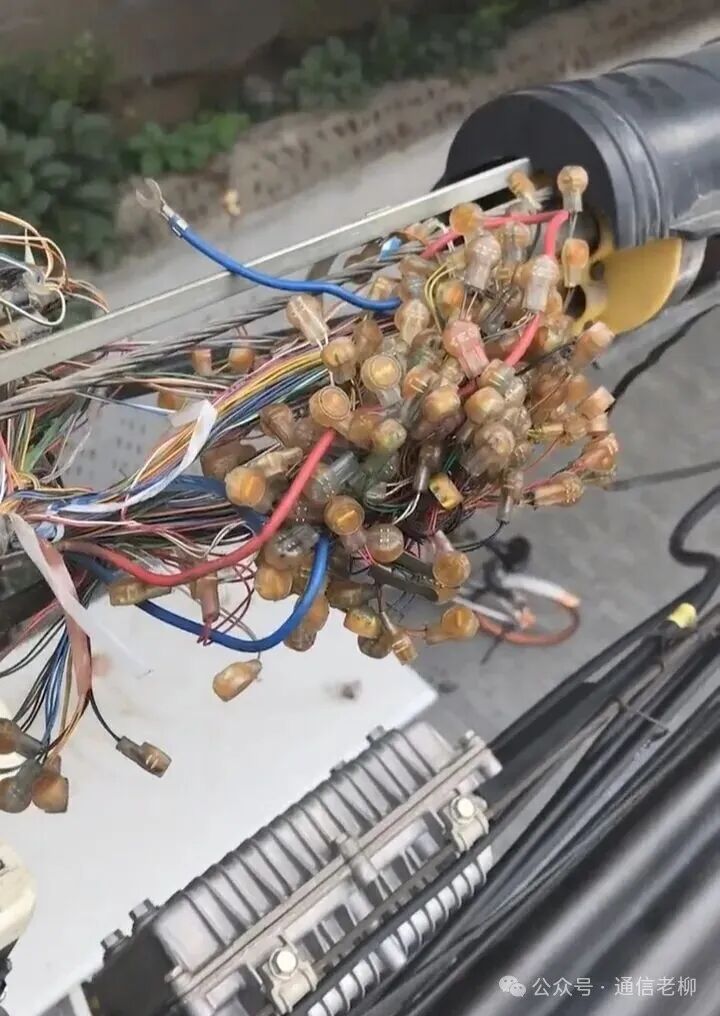 640?wx_fmt=jpeg&watermark=1#imgIndex=1