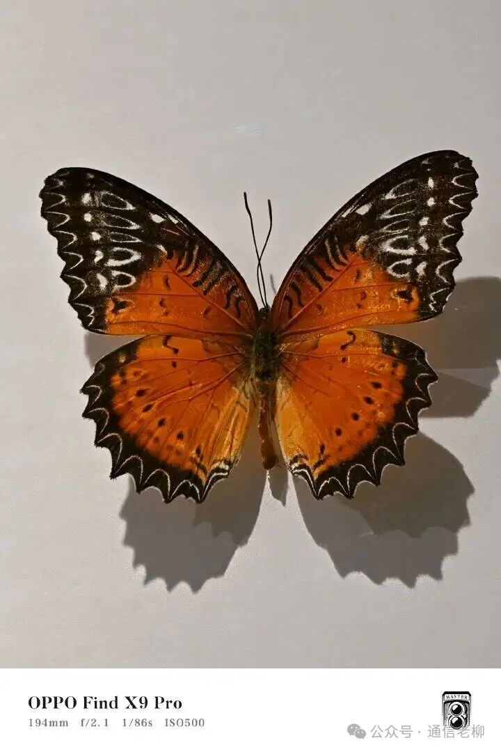 640?wx_fmt=jpeg&from=appmsg&watermark=1#imgIndex=13