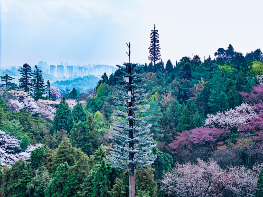 640?wx_fmt=png&from=appmsg#imgIndex=4