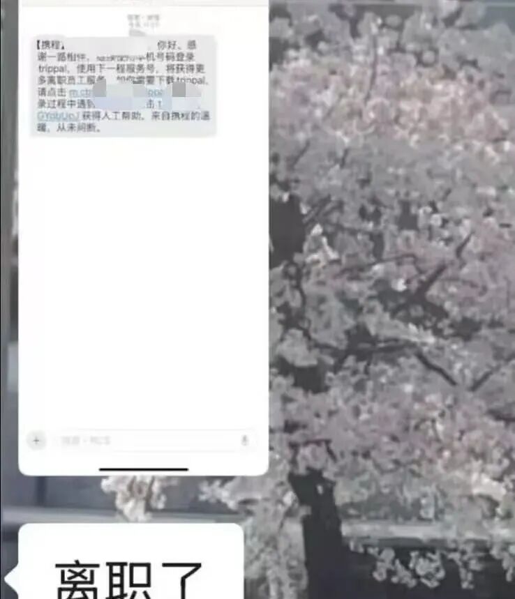 640?wx_fmt=jpeg&from=appmsg#imgIndex=1