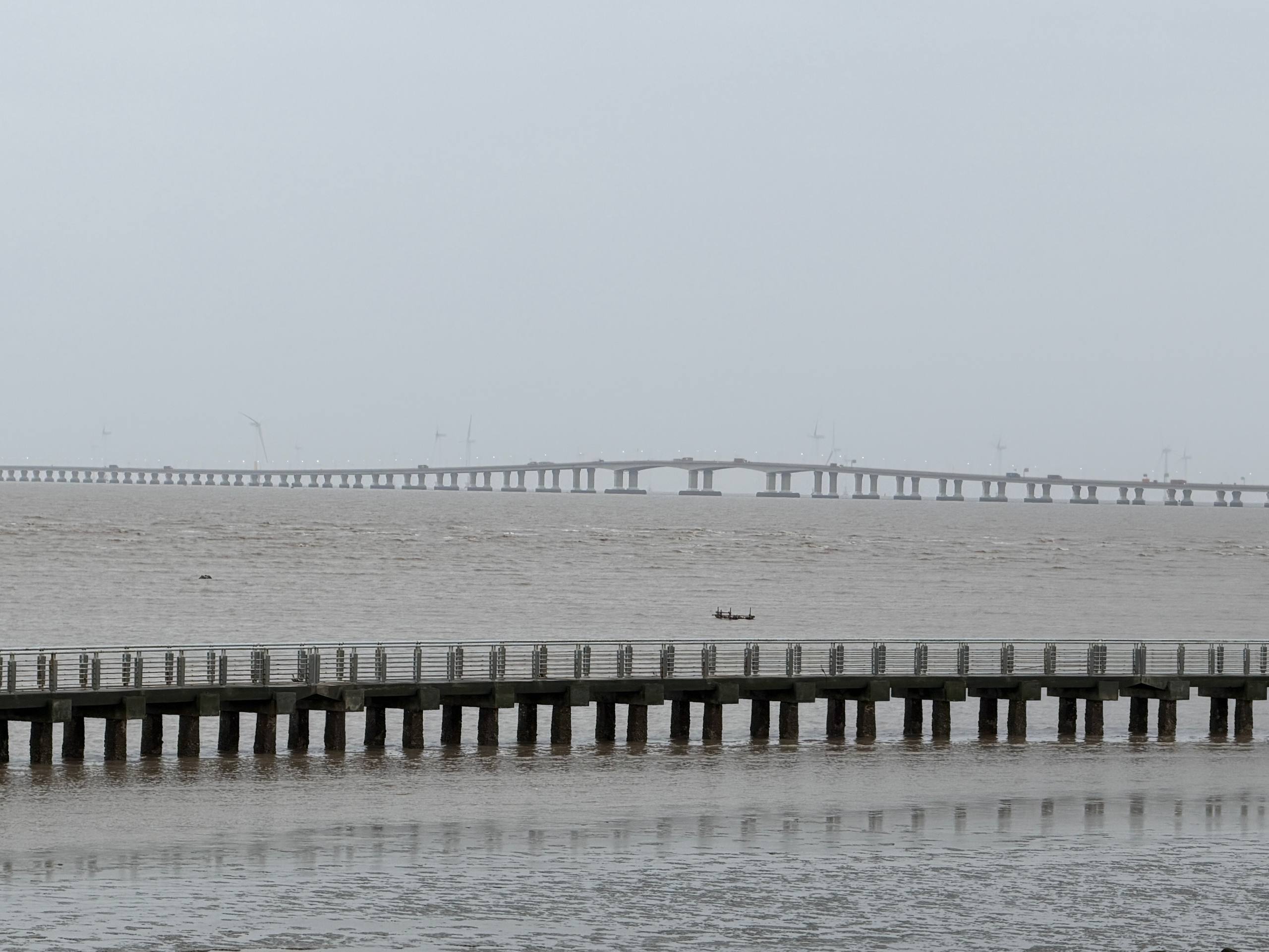 IMAGE 2026-02-24 11:55:10.jpg