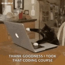 640?wx_fmt=gif&from=appmsg#imgIndex=3