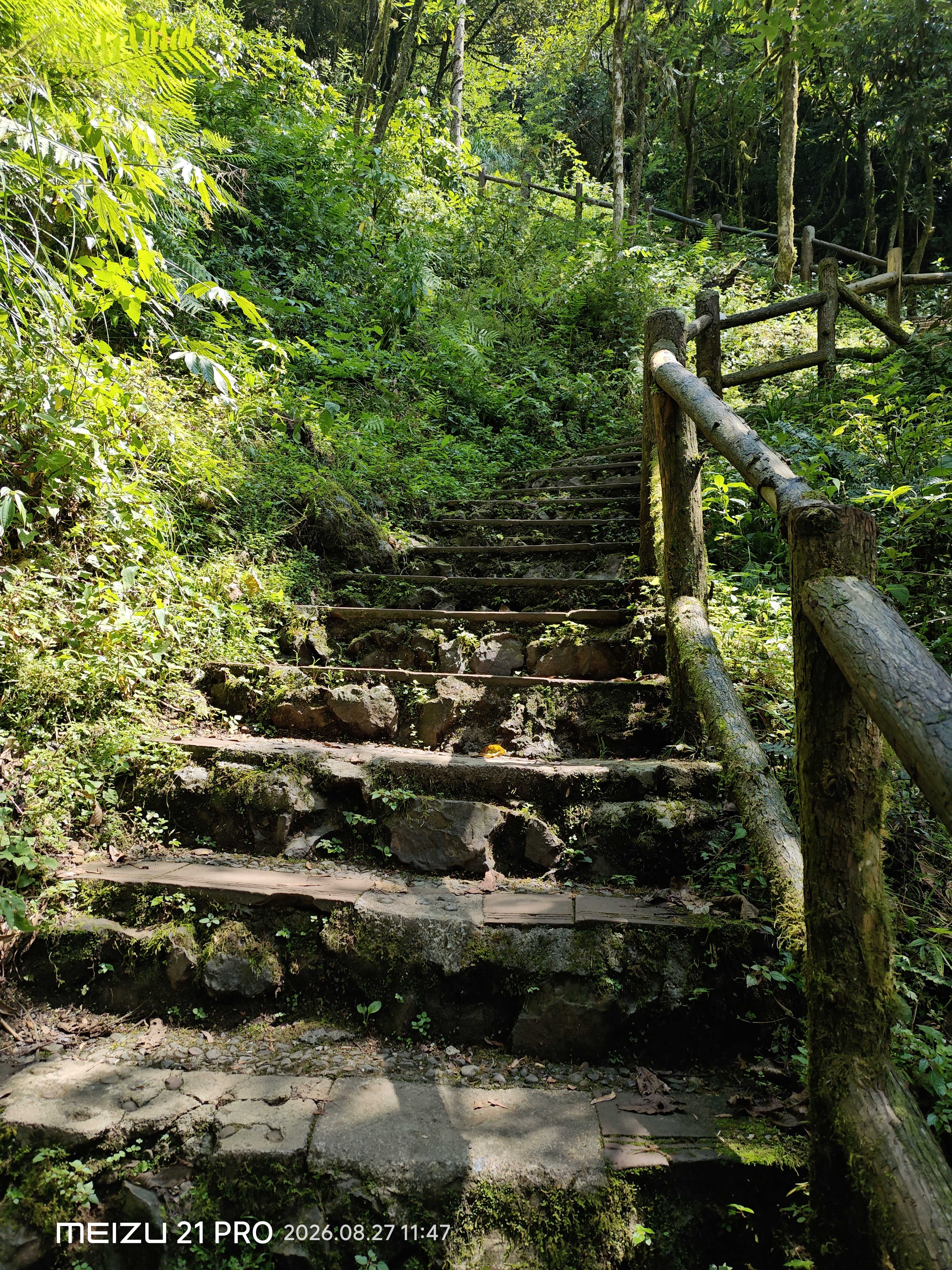 P20260827-114730.jpg