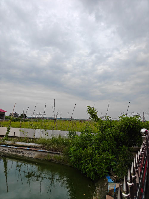 IMG20260904103553.jpg