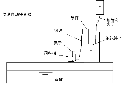 简易自动喂食器gif