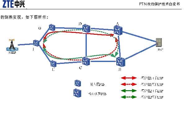 PW˫鱣.JPG