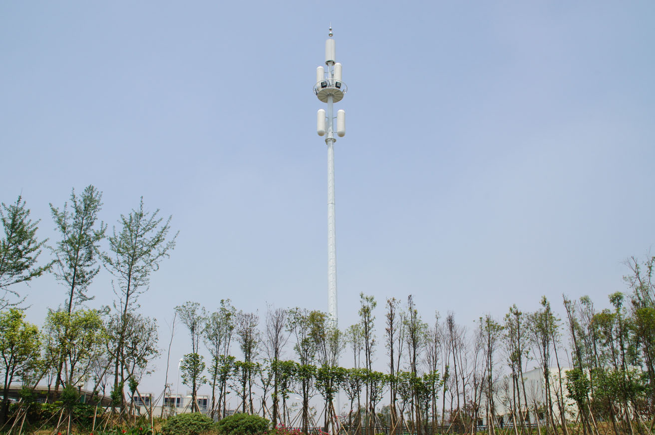 [原创]发几张铁塔,景观塔,美化天线,仿生树的照片有好图的跟贴啊