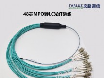 图片分享：48芯MPO/MTP光纤跳线