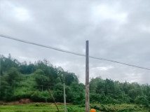 种电杆